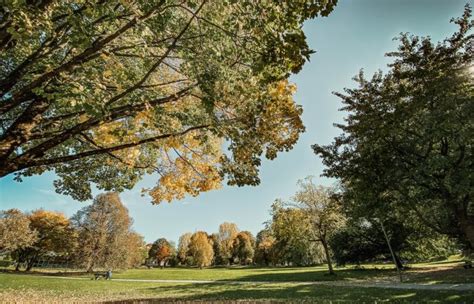 gay sex augsburg|Grieslepark